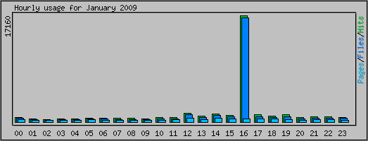 Hourly usage