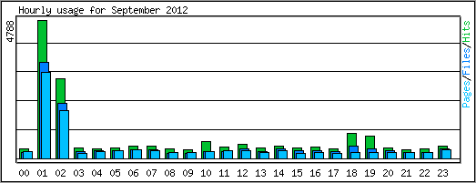 Hourly usage