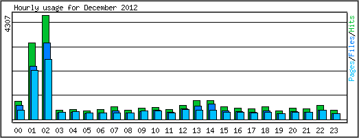 Hourly usage