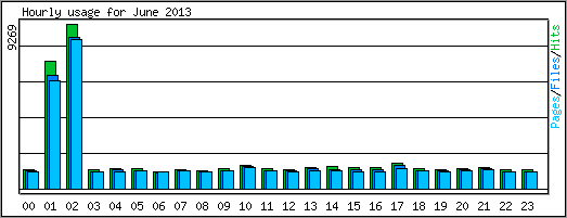 Hourly usage