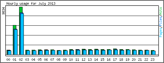 Hourly usage