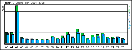 Hourly usage