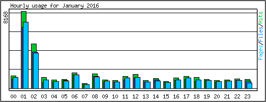 Hourly usage