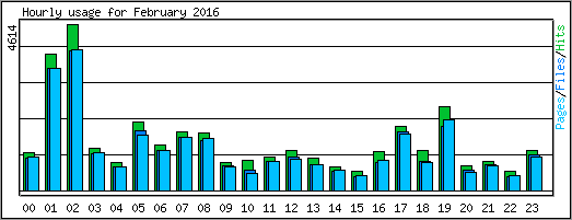 Hourly usage