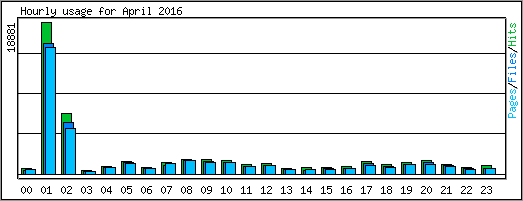 Hourly usage
