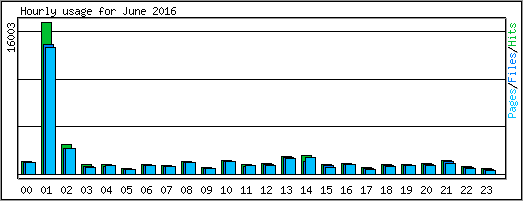 Hourly usage