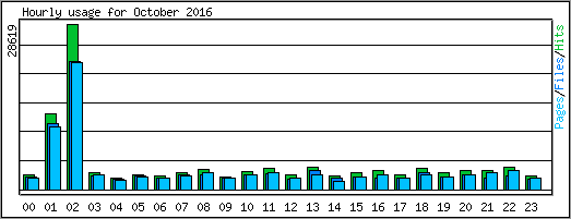 Hourly usage