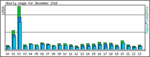 Hourly usage