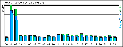 Hourly usage