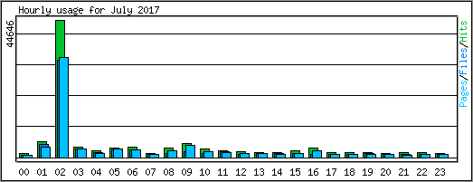 Hourly usage