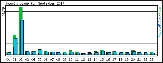 Hourly usage