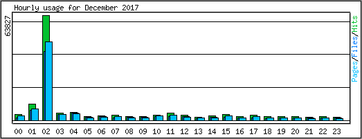Hourly usage