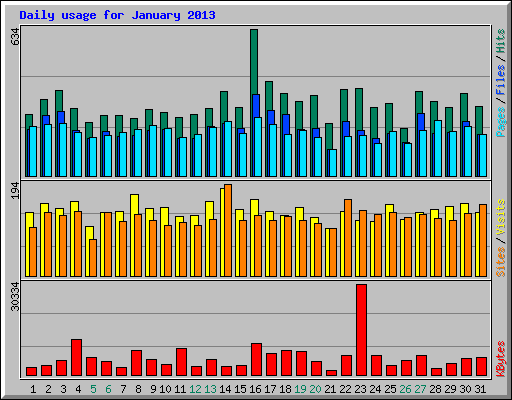 Daily usage for January 2013