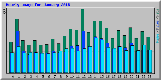 Hourly usage for January 2013