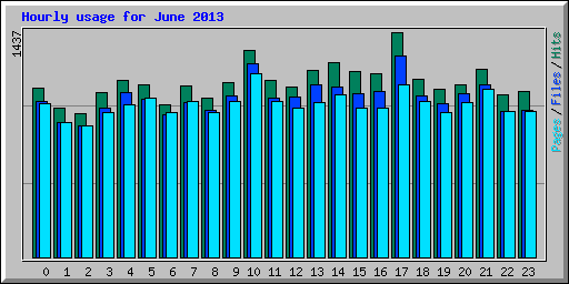 Hourly usage for June 2013