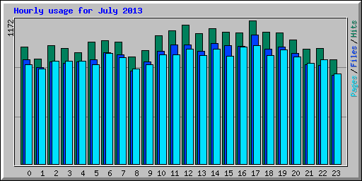 Hourly usage for July 2013