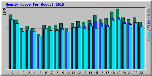 Hourly usage for August 2013