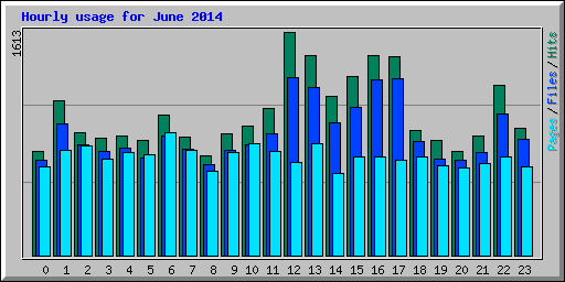 Hourly usage for June 2014