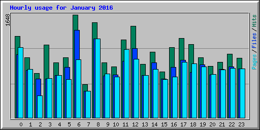 Hourly usage for January 2016