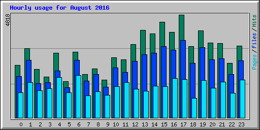 Hourly usage for August 2016