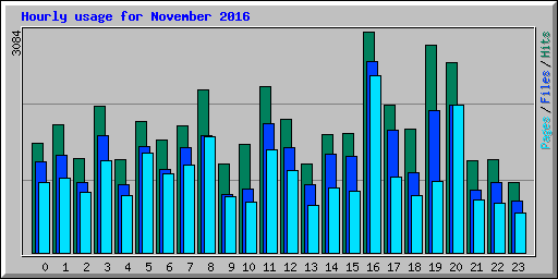 Hourly usage for November 2016