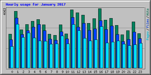 Hourly usage for January 2017