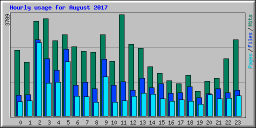 Hourly usage for August 2017