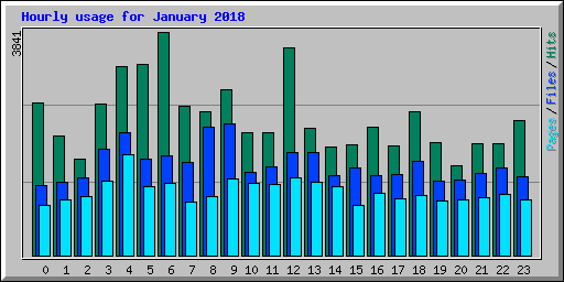 Hourly usage for January 2018