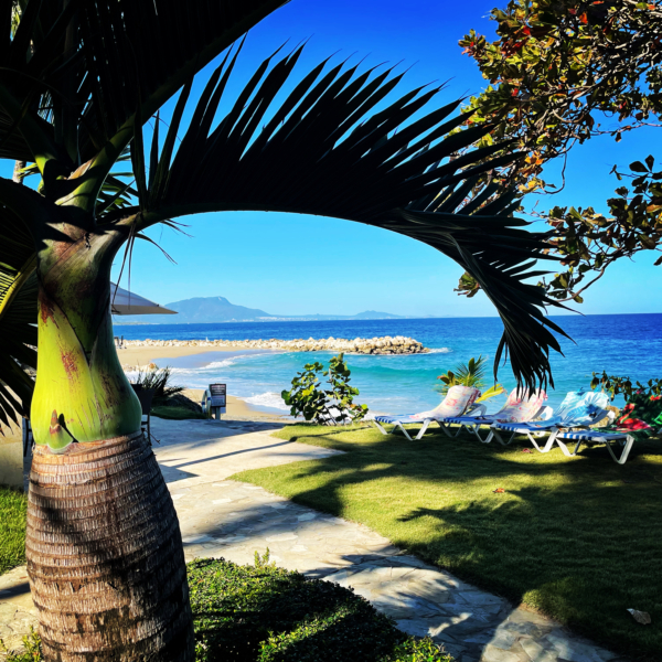 62F502B4-C5DF-439A-9295-77A71F26D797