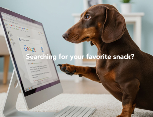 What is Search Engine Optimization?